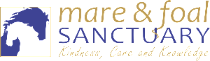 Long Logo Transparent Background